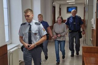 Údery do hlavy toporem málem zabila manžela, soud ženě za pokus vraždy potvrdil sedm let - Novinky
